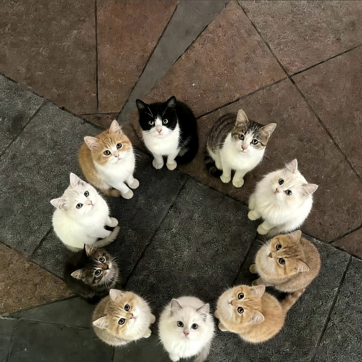 加载失败