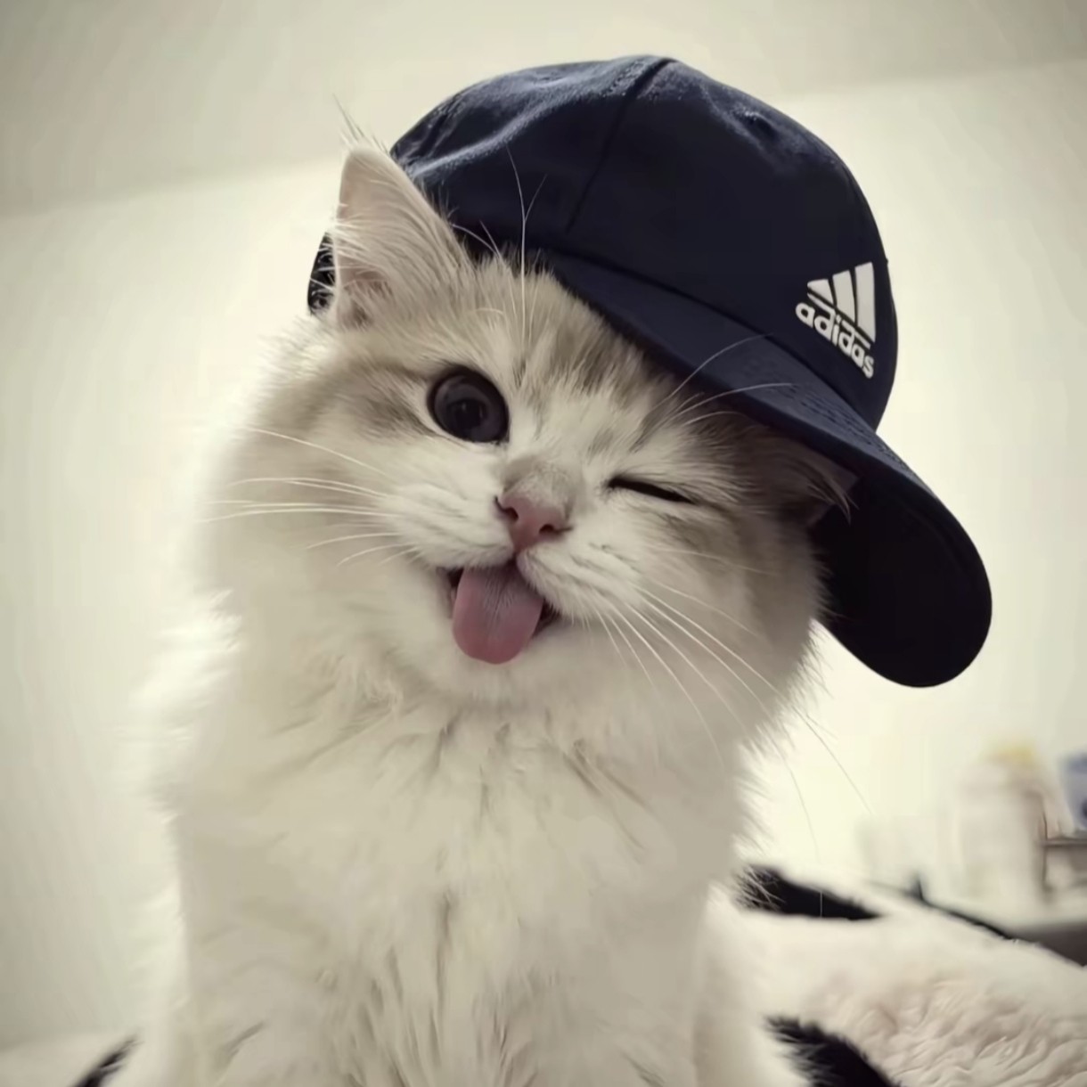 加载失败