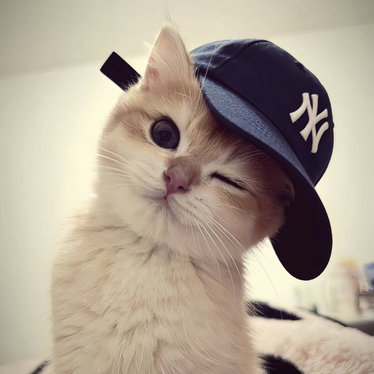 加载失败