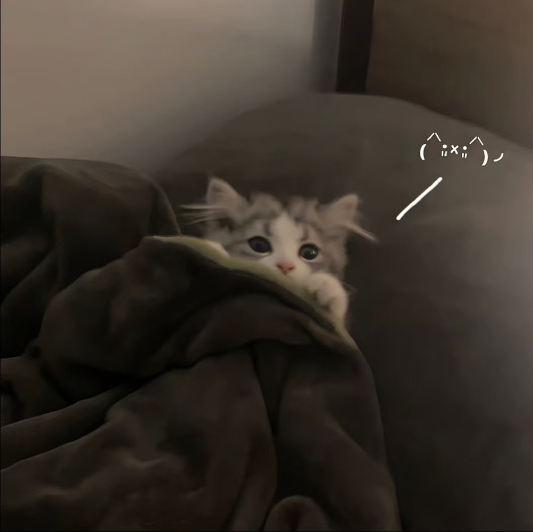 加载失败