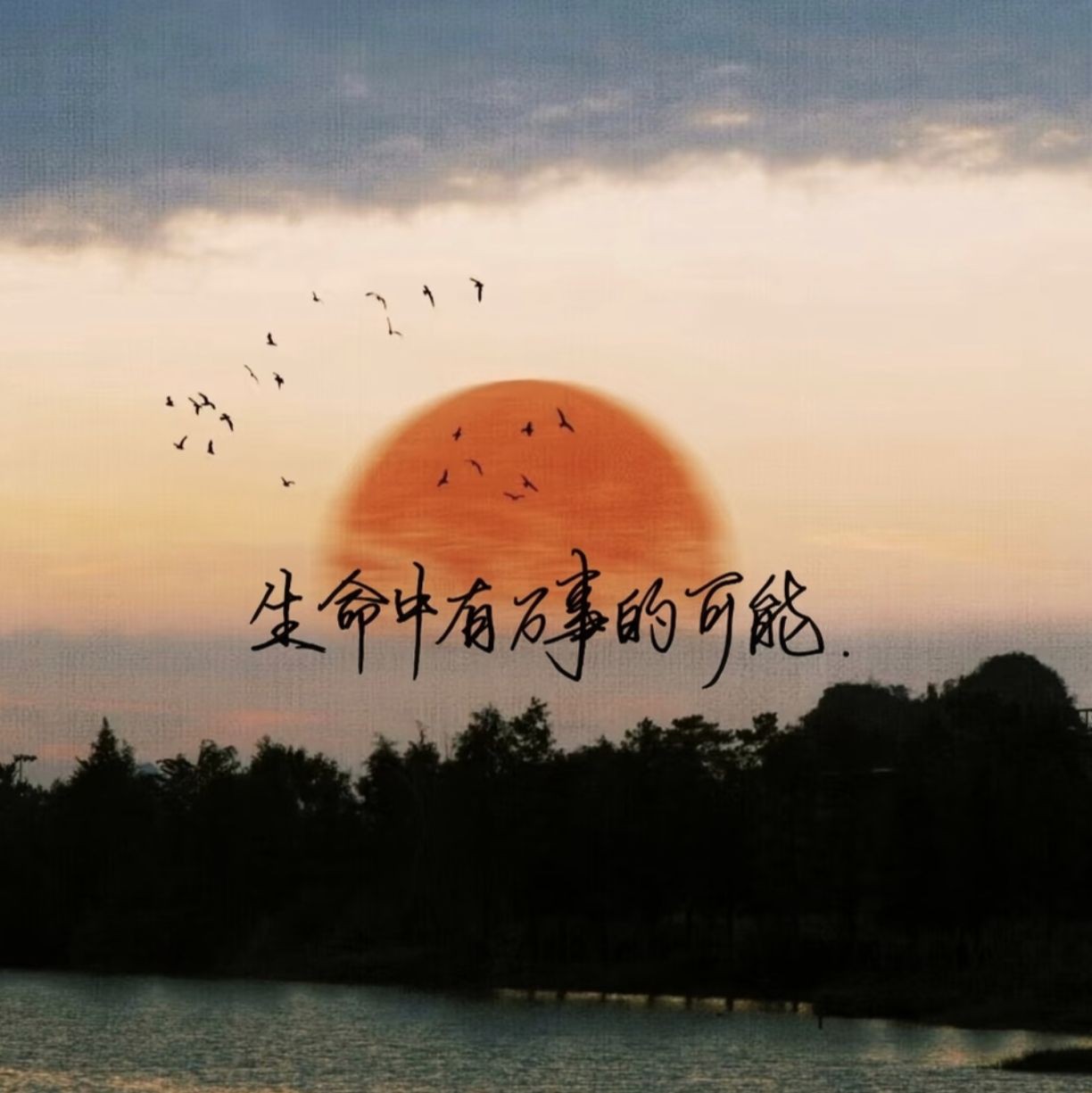 加载失败