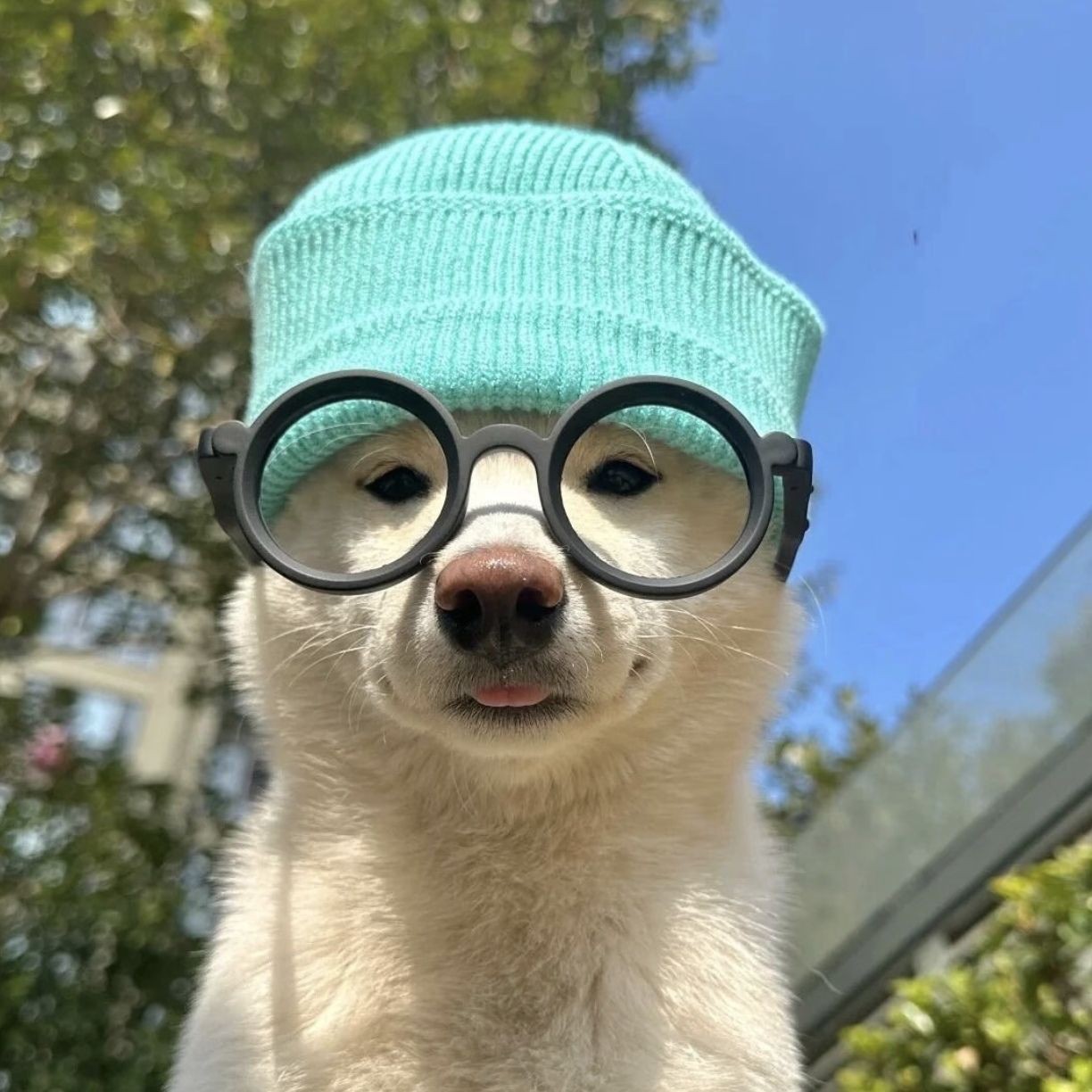 加载失败