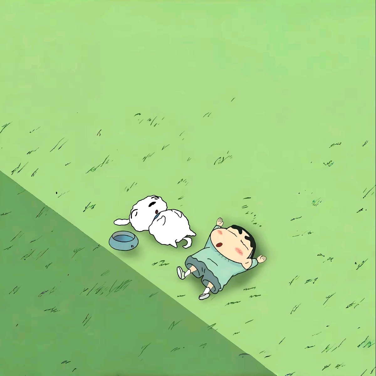 加载失败