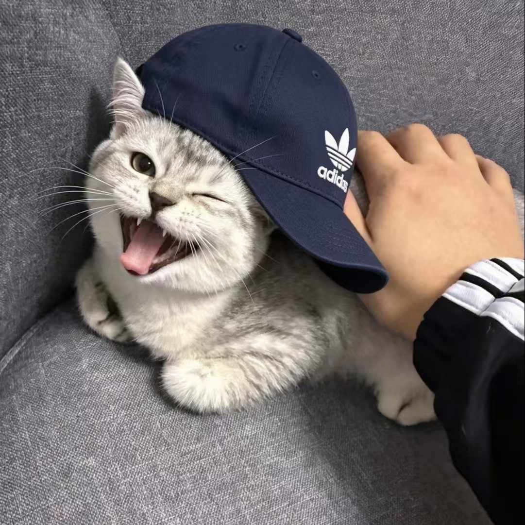 加载失败