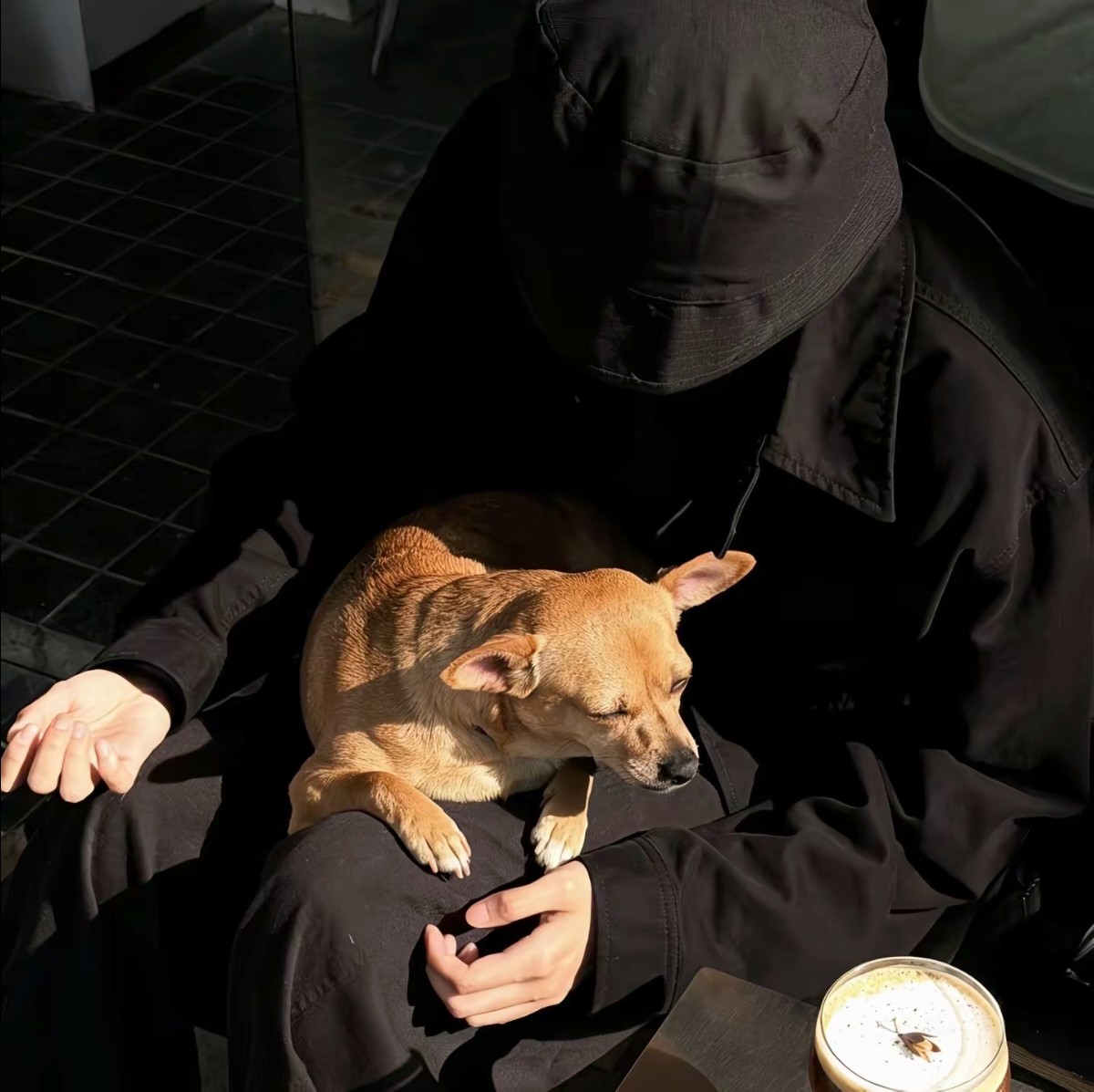 加载失败