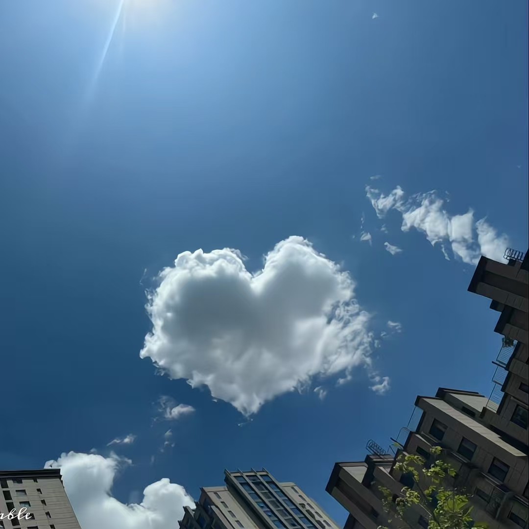 加载失败