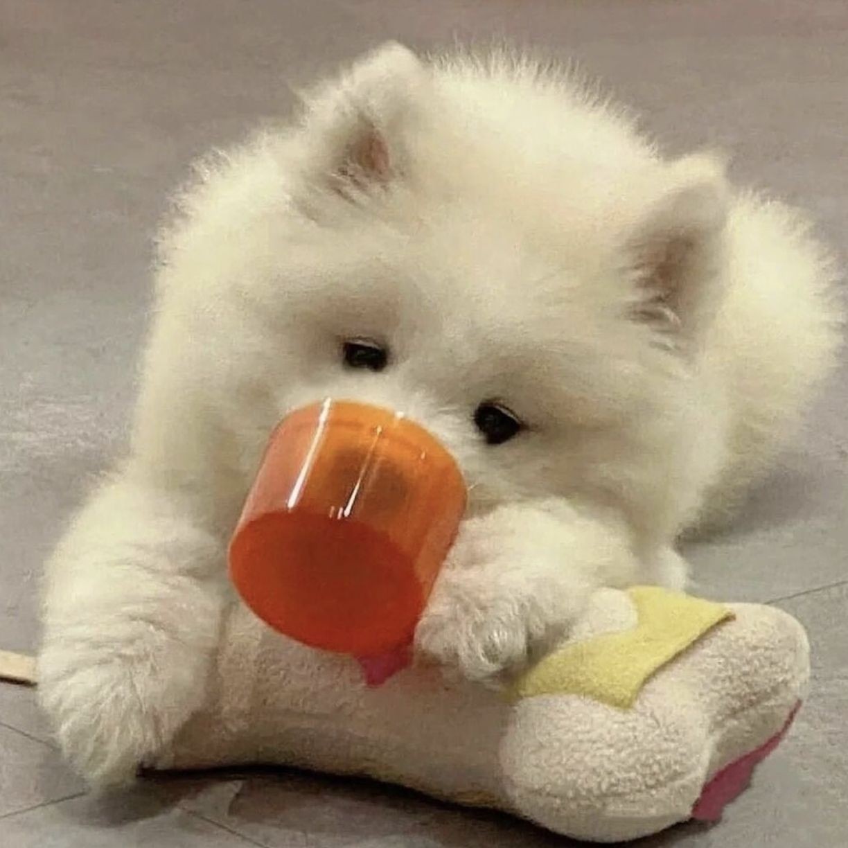 加载失败