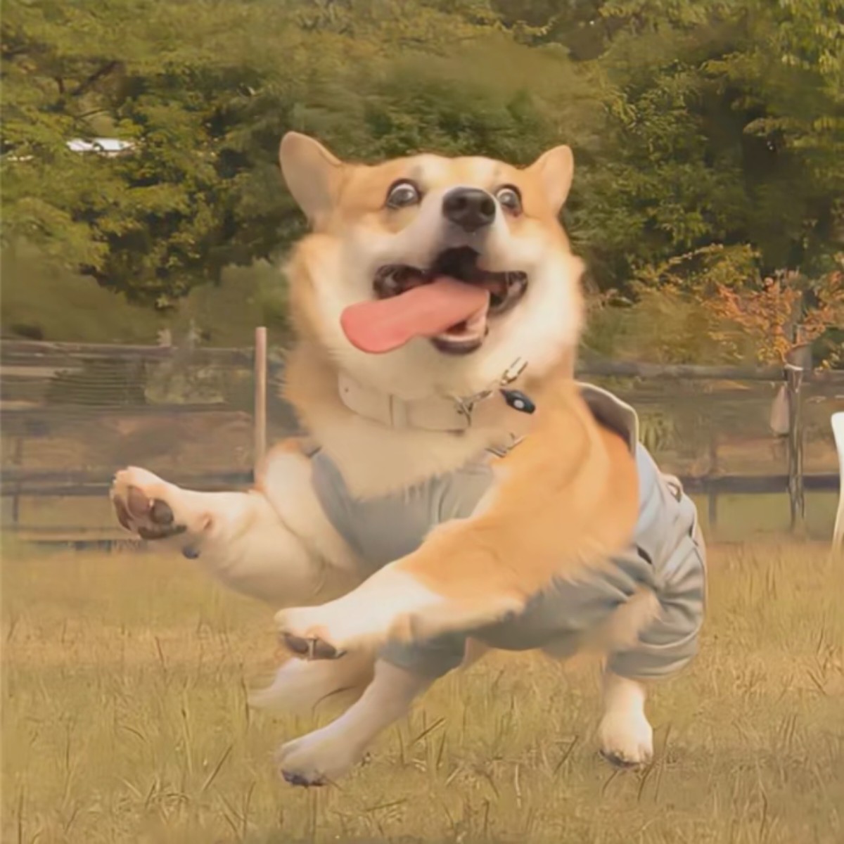加载失败