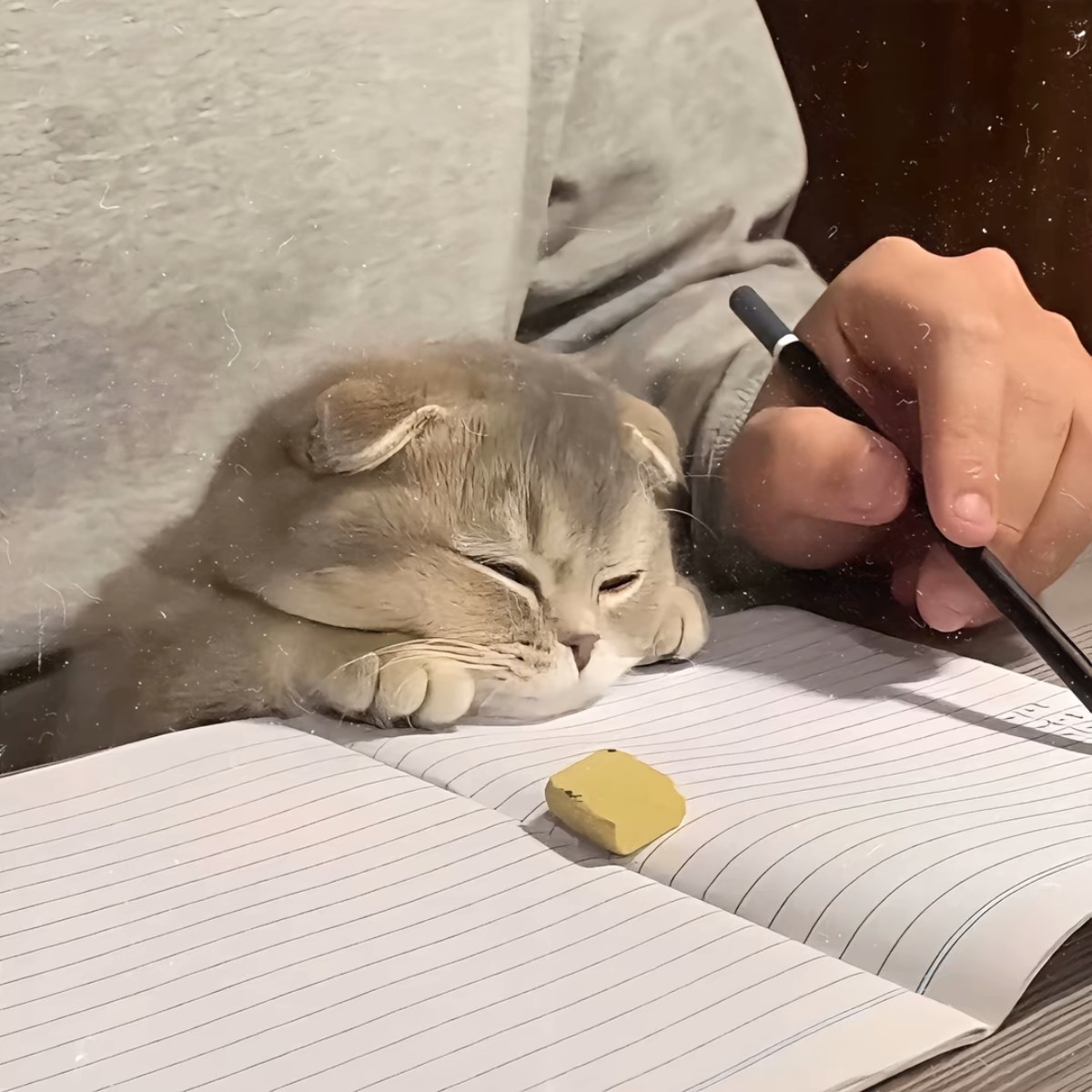 加载失败