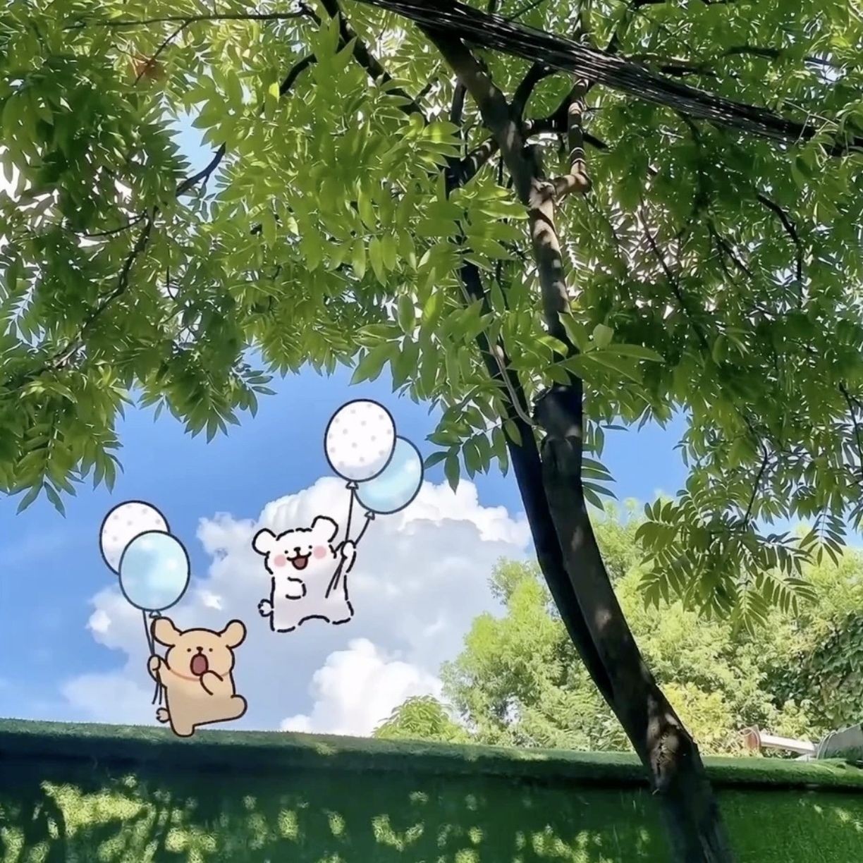 加载失败
