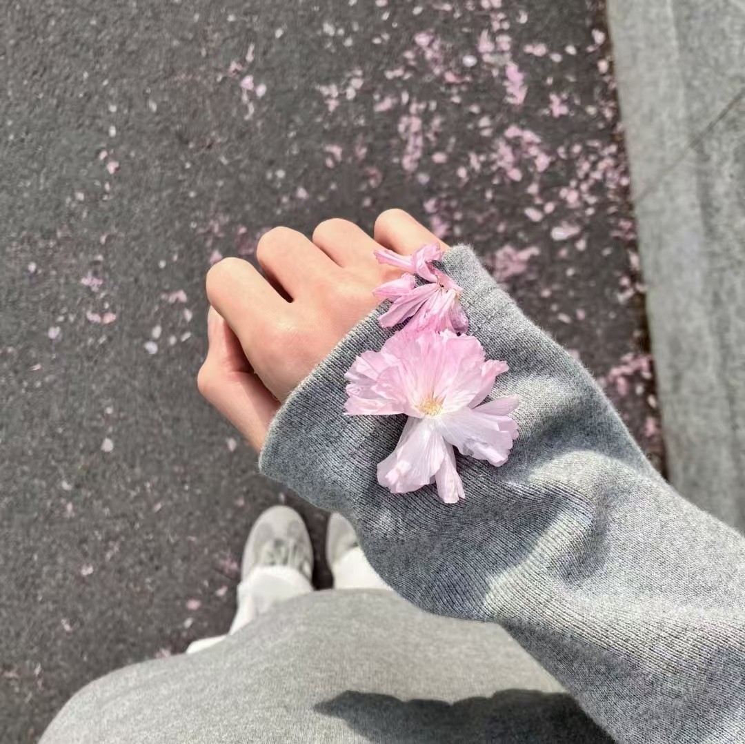 加载失败