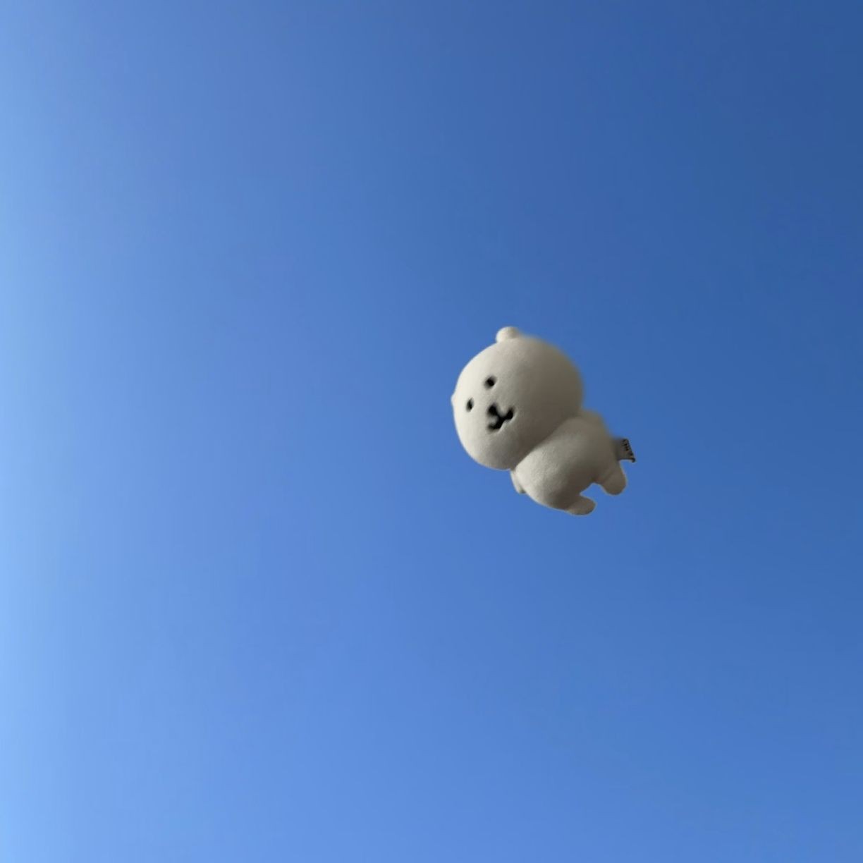 加载失败