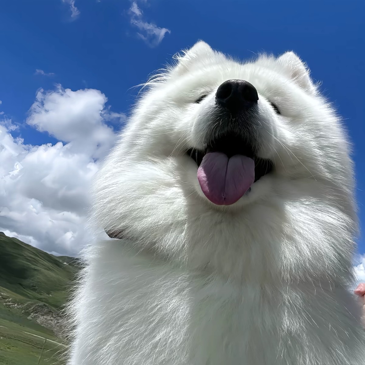 加载失败