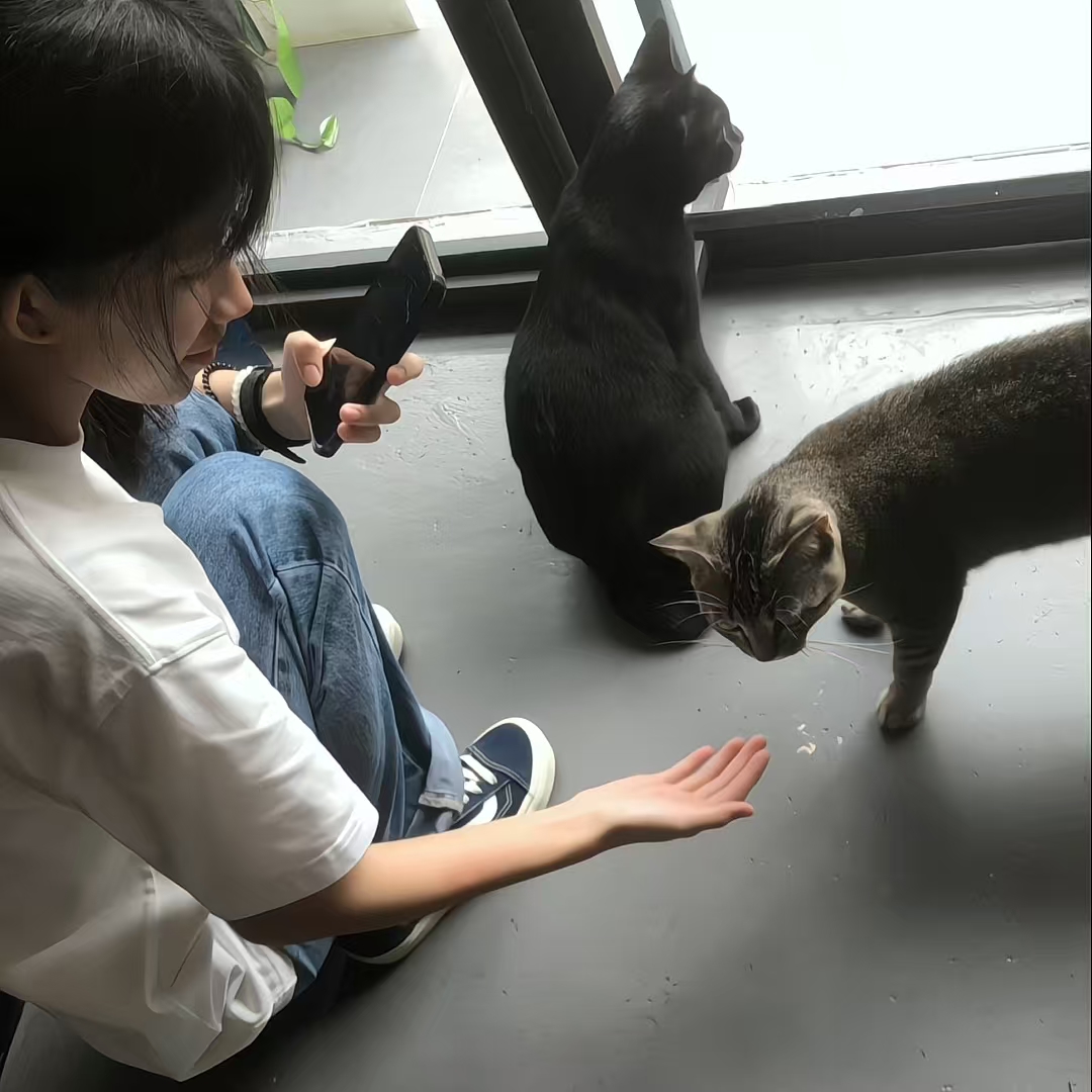 加载失败