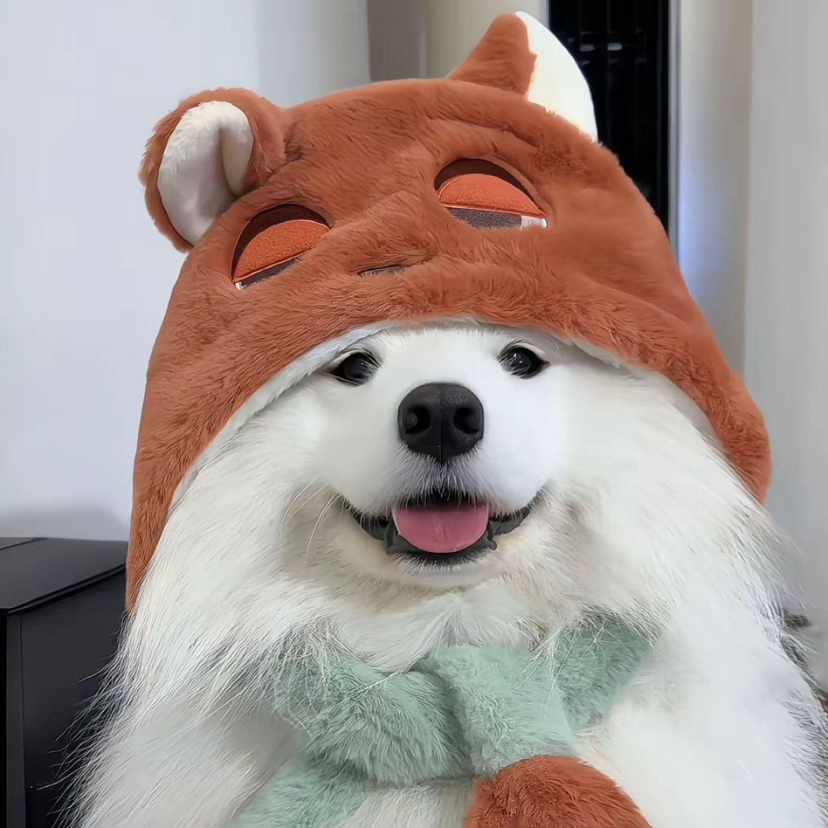 加载失败